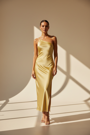 Backless Halter Neck Maxi Dress