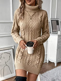 Cable Knit Turtleneck Mini Dress