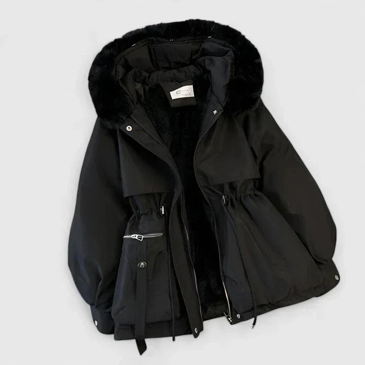 Hooded Padded Winter Jacket